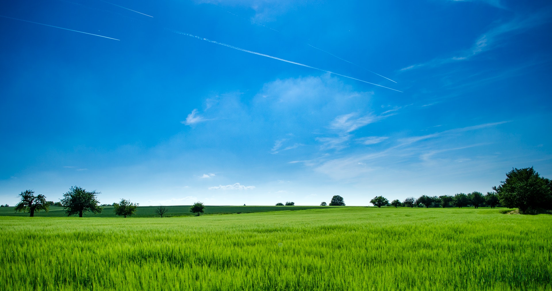 ruby-valley-ent-allergy-header
